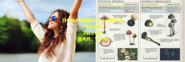 дмт Семилуки