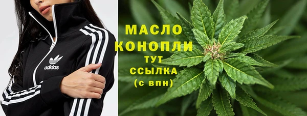 дмт Семилуки