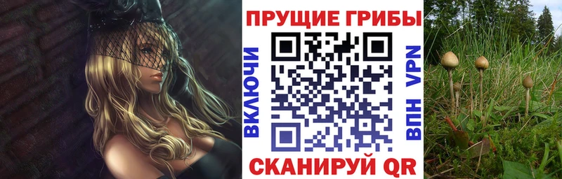 Купить  Стерлитамак  Галлюциногенные грибы прущие грибы 