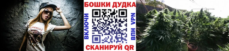 Купить закладки  Стерлитамак  Бошки марихуана AK-47